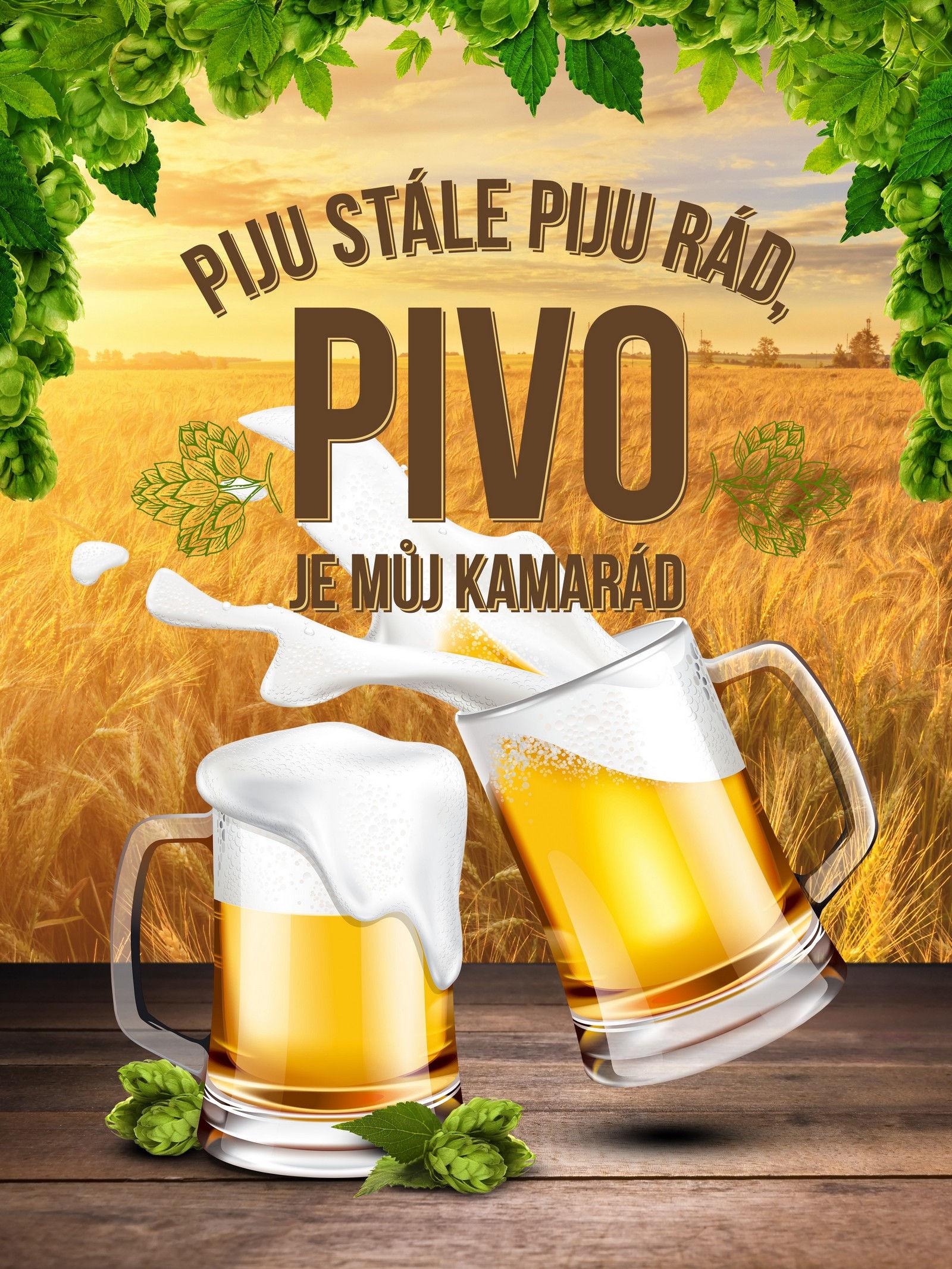 Plechová cedule: Pivo je můj kamarád - 30x40 cm