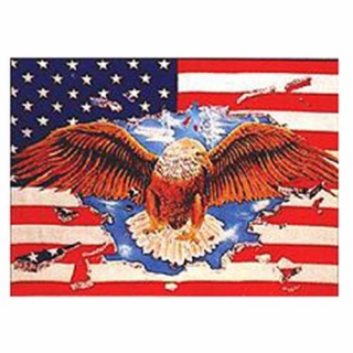 Vlajka USA EAGLE