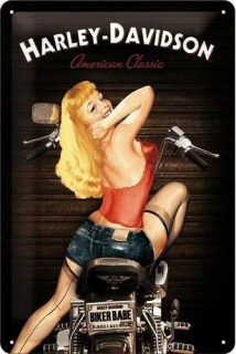 Plechová cedule - Harley-Davidson (Biker Babe)